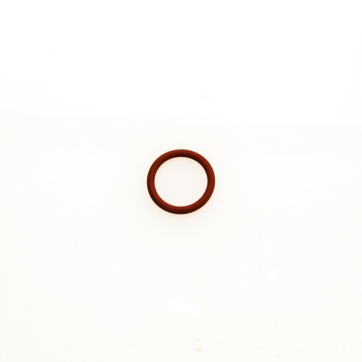 Turbosmart WG Valve Guide O Ring (TS-0501-3004)