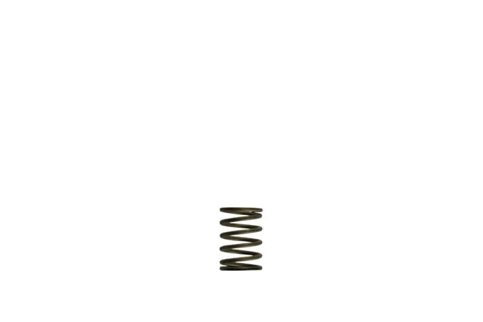 Turbosmart GenV WG38/40 3psi Black Inner Spring (TS-0550-3081)
