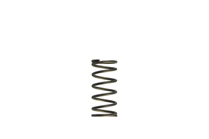 Turbosmart GenV WG60 5psi Purple Inner Spring (TS-0550-3090)