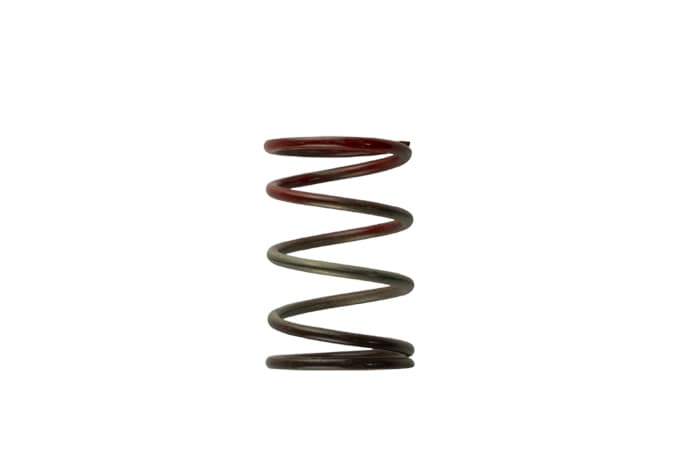 Turbosmart Gen4 / IWG WG38/40/45/50L 11PSI MIDDLE SPRING - BROWN/RED (TS-0505-2004)