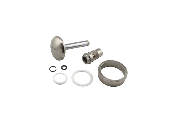 Turbosmart GenV WG45 Valve & Guide Set (TS-0553-3002)