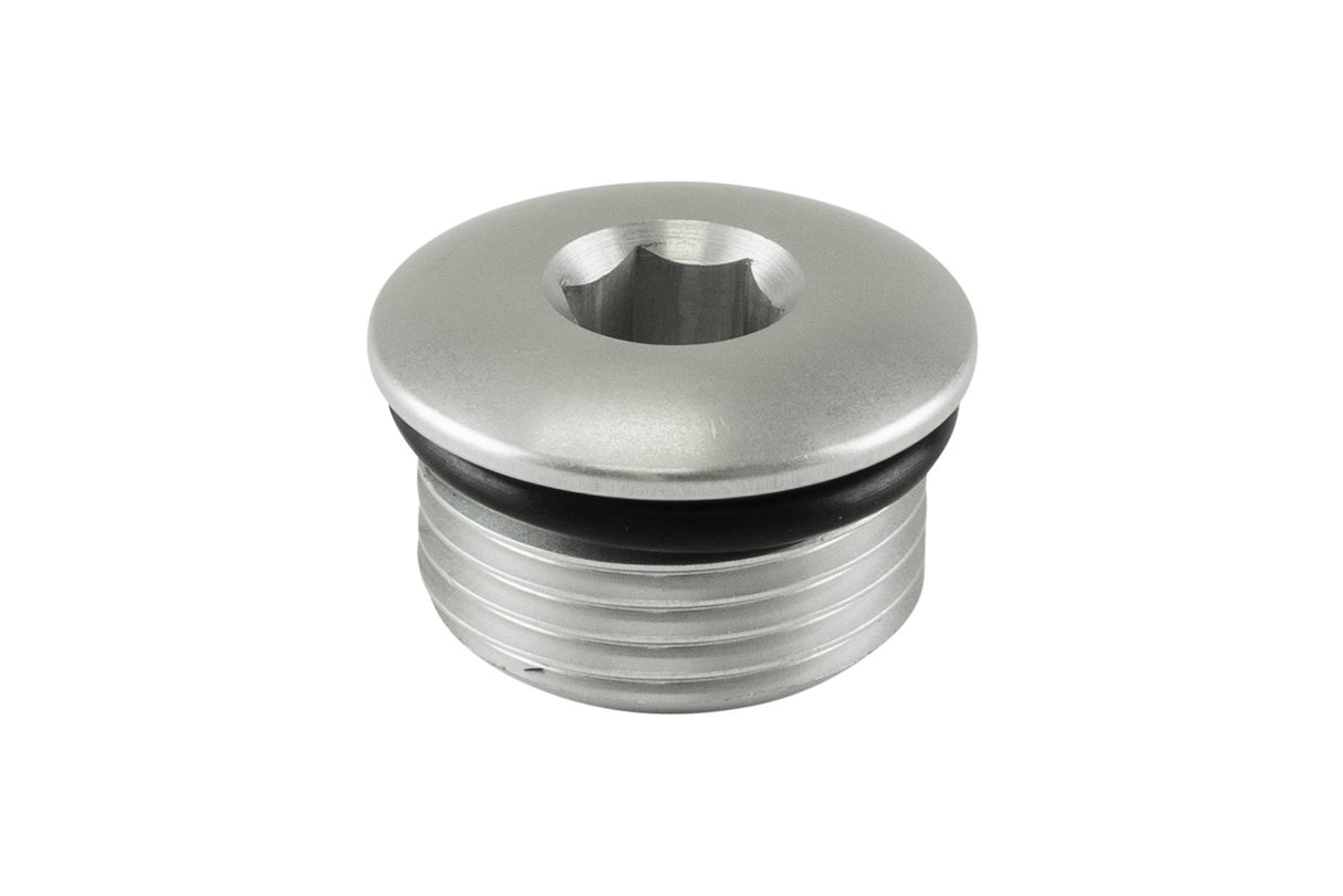 Turbosmart Fitting -12 AN ORB Blank